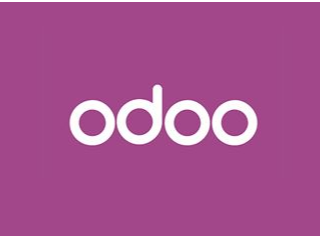 Odoo管理系统实施及二次开发