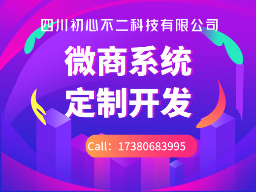 成都微商系统开发,成都系统开发,团队分红系统开发