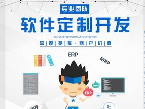 网站开发/软件开发/小程序开发