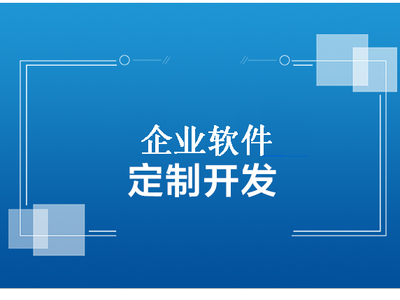 定制软件开发