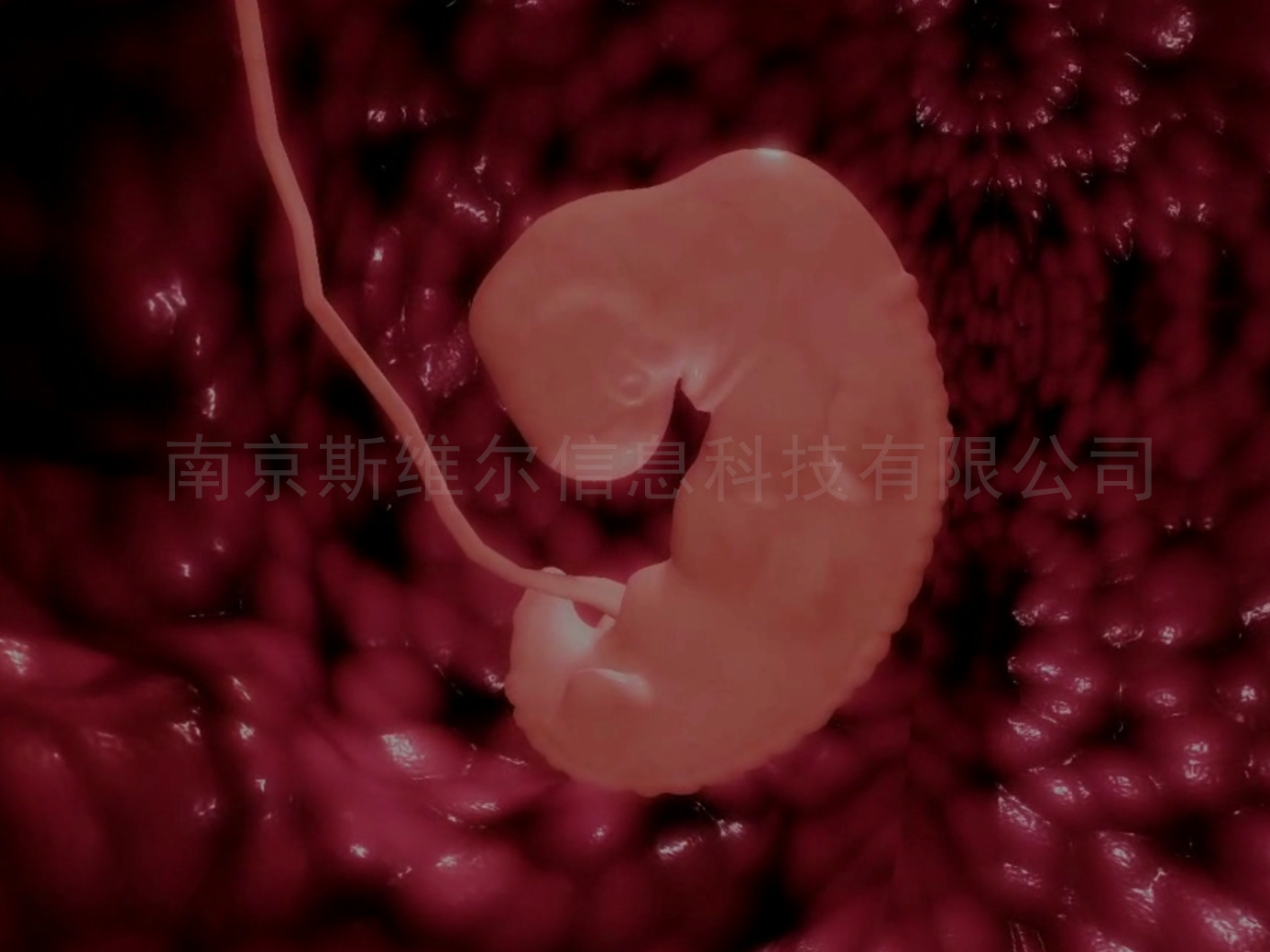 婴儿胚胎发育工程虚拟仿真
